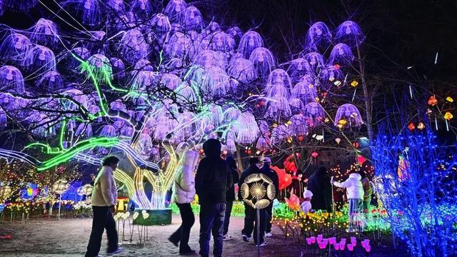 到兴油看灯展，一直亮到元宵节