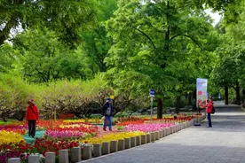 五一出游不扎堆！北京还有这些踏青赏花好去处图片