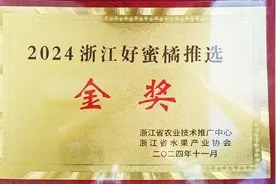 庆元获“2024浙江好蜜橘”金奖图片