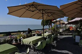 合肥巢湖：龙周村的“致富”雪糕图片