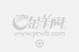 以“功夫女侠”为媒展现中华文化魅力，《武韵峨眉》成功激发海内外观众共鸣图片