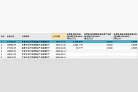 二季度黄金ETF业绩分化，这类新产品没咋赚钱图片