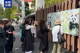 旅日大熊猫“比力”“仙女”将回国 日本民众排长队送别图片