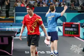 这抢戏的乒乓球拍！备用拍和主拍差别大吗？瑞典队偏爱的六边形球拍是秘密武器？图片