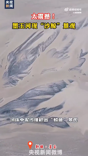 新疆一河水退去现“巨鲸”奇观，长约520米，犹如巨鲸逆流而上