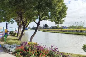 浦东：水清岸绿映康桥，安澜新景醉人心图片