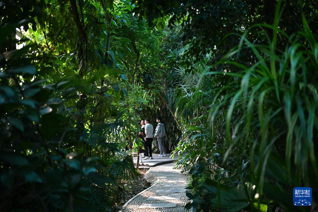 校馆弦歌·新华图库丨走进西北农林科技大学博览园