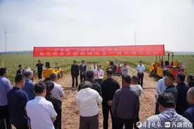农机创新助力乡村振兴，济南举办大蒜机械化生产现场演示活动图片