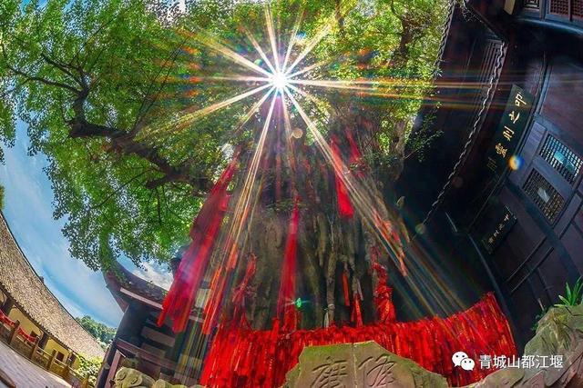 分分钟出大片！都江堰1️⃣5️⃣个被问爆的绝美机位，千万别错过~
