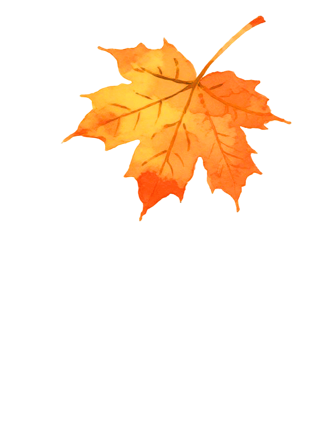 进博逛展意犹未尽？“上海之根”松江这3条主题线路，每款都藏惊喜～～～