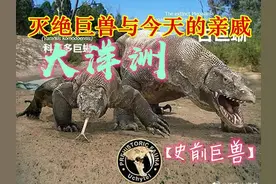 【灭绝巨兽与今天的亲戚】大洋洲篇图片