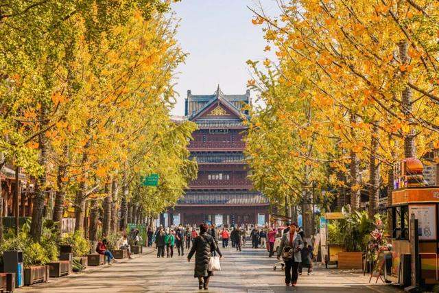 宜宾，含“金”量超高！