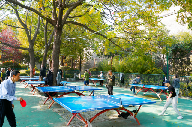 秋风引路入曲江，芙蓉金叶映红墙