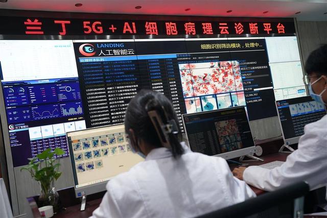 无人工厂之后，人往哪里去？湖北以就业“长”在产业上激活供需两端