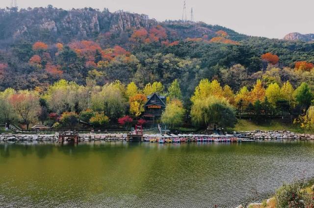 赏秋景，品乡味，快来解锁全新city玩法（文末送福利）