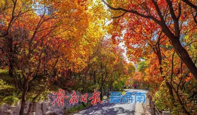 红叶谷第25届红叶节10月1日启幕