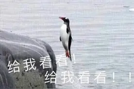 摆拍完毕直接拎走！这个外卖员的行为把顾客气笑了……放在家门口的都要注意了→图片