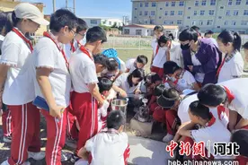 河北任丘开展世界环境日宣传教育活动图片