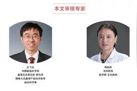 一天一根胡萝卜，癌症远离我？常吃还能延长寿命、防治心血管疾病图片