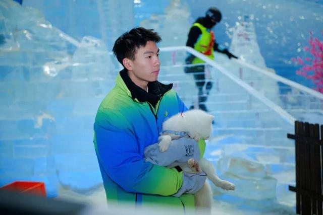 一秒入冬，雪狐奇遇！武汉市中心藏了个冰雪乐园