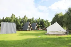 心被“绒”化了~限定版Jellycat再次“闪亮登场”！图片