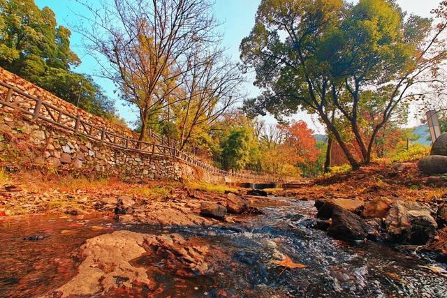 你好，青原山 | 这抹初冬红韵，藏着最热烈的山野浪漫