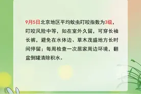 新闻多一度丨嗡嗡嗡……为什么秋天的蚊子咬人更狠？图片