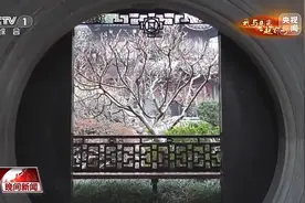 爱上中国只需一次说走就走的China Travel图片