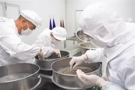 从“鱼卵”到“鱼子酱”的蝶变图片