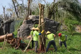 广州最长夏天、最强秋台风“摩羯”入选去年十大天气气候事件图片