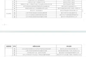 拼经济 抓发展｜重庆今年首批42项低空经济应用场景清单亮相图片