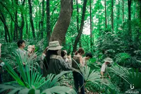 刷新游客印象，南京红山森林动物园凭什么这么“红”图片