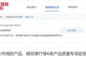 江苏省徐州市市场监督管理局公布2024年全市消防产品、烟花爆竹等6类产品质量专项监督抽查结果图片