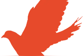 检察风云 | 苹果机主注意，这个功能赶紧关→图片