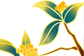 【福利】中秋月下赏非遗，用苗侗歌声唤醒民族记忆图片