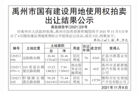 成交价1.86亿元！许昌禹州拟出让3宗105亩土地图片