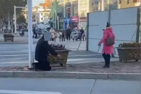 江苏一男子闹市向女子下跪钻胯，女网友都吐槽“没出息”图片