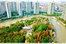 上海进一步放宽调整廉租住房相关政策标准，明年1月1日起施行图片