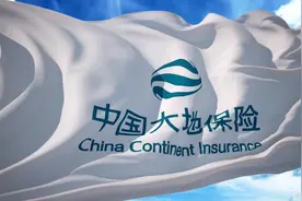 败于信用保证险，大地财险前10月保费收入下降12%，净利润锐减图片