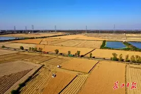 赵帅真帅！农民小伙搞智慧农业结出“智慧果”| 过影图片