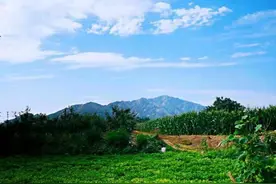 龙口文学｜龙口，我无法拒绝你的美图片