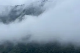 哀牢山上，一次未竟的森林调查任务图片