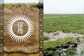 东北盐碱化，令人非常担忧图片