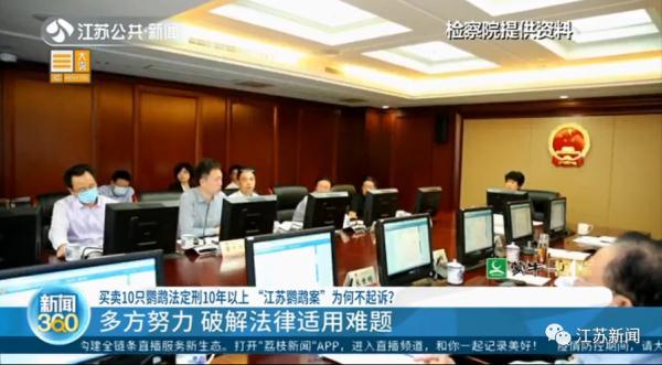卖30只鹦鹉赚不到400元，法定刑10年以上？处理结果让她当场大哭