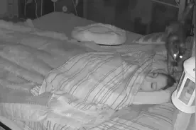 意大利一女子拍下和两只猫一起睡觉画面 猫咪在床上走动一夜图片