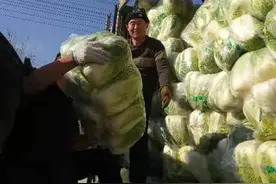 10吨白菜、300只肴鸡！淄博夫妻硬核弛援……图片