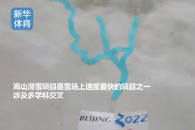 走近冬奥 | 3D建模、风洞实验……高山滑雪背后的“科技范儿”图片