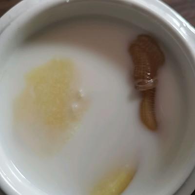 花胶炖奶要炖多久 2025年花胶炖奶要炖多久才能吃 花胶炖奶要炖多久 2025年花胶炖奶要炖多久才能吃