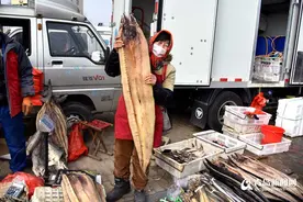 青岛沙子口大集年味浓 崂山甜晒鱼干热销图片