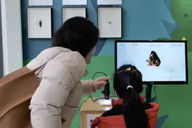 ​跳蚤能跳700米高？“昆虫运动会”高手如云图片